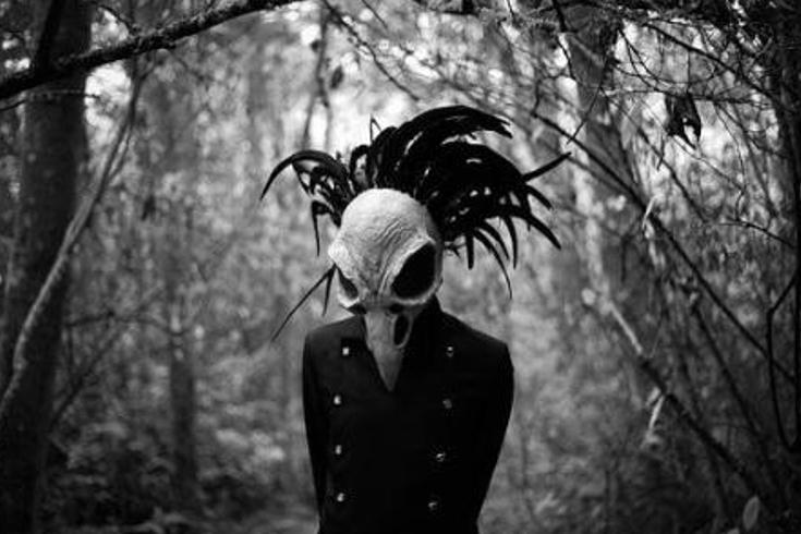 《灵异鬼猫：老宅夜啼与血脉里的复仇诅咒》