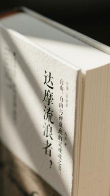 《达摩流浪者》：自由与禅意交织的灵魂之书