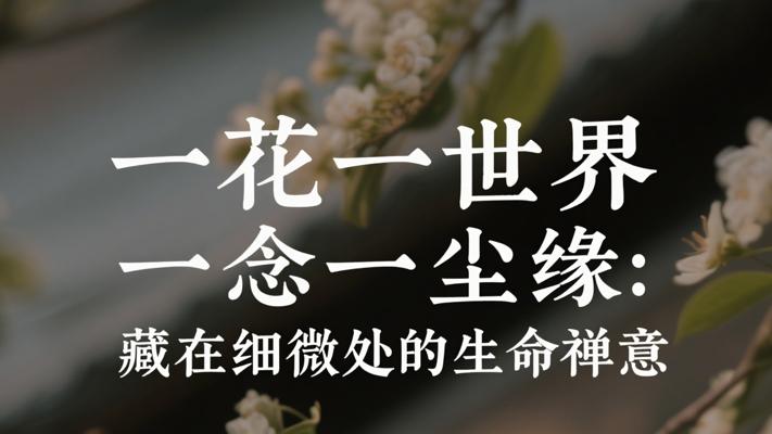 一花一世界 一念一尘缘：藏在细微处的生命禅意