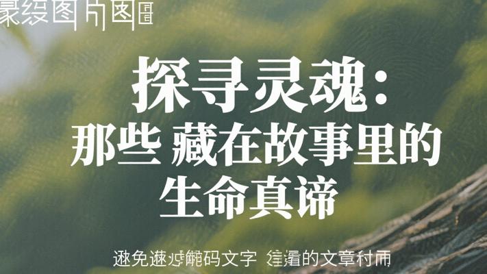 探寻灵魂：那些藏在故事里的生命真谛