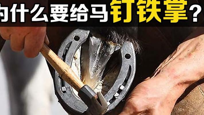 给马钉铁掌不疼吗？揭秘马蹄铁背后的科学真相