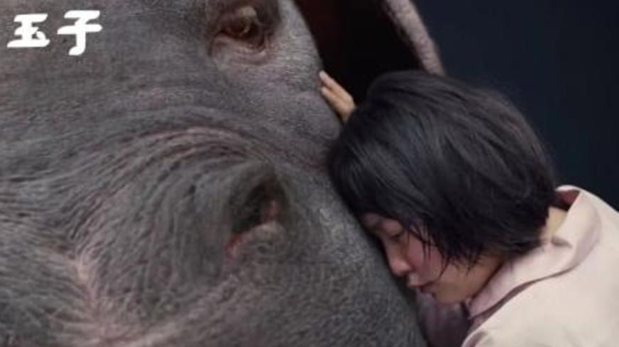 《玉子》：跨越物种的深情与资本世界的残酷博弈