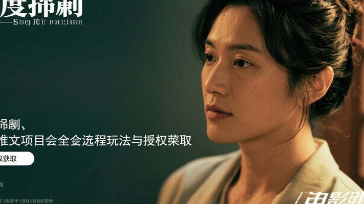 深度揭秘：小说推文项目全流程玩法与授权获取