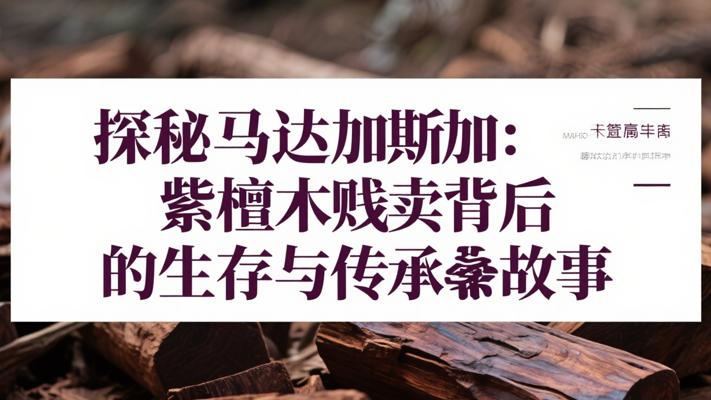 探秘马达加斯加：紫檀木贱卖背后的生存与传承故事