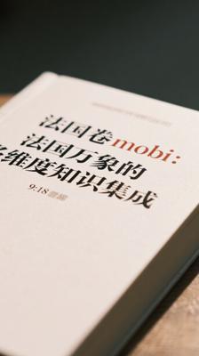 法国卷mobi：法国万象的多维度知识集成