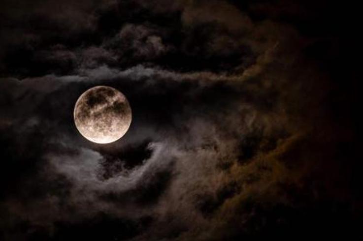 《命犯桃花：元宵戏台上的桃花劫与公主怨魂》