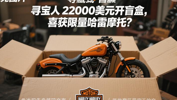 寻宝人花22000美元买集装箱盲盒开出限量哈雷摩托