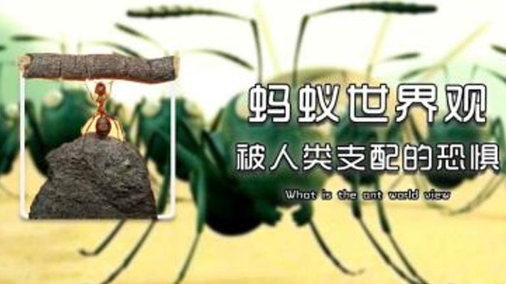 蚂蚁的宇宙观：如何证明你不是那只被观察的蚂蚁？