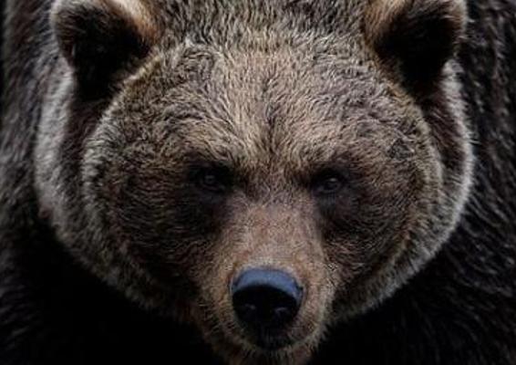 无人机航拍海上游艇驶向岛屿素材