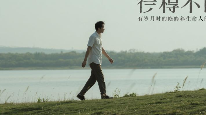 淡然行走从容面对：在岁月中修炼生命的智慧