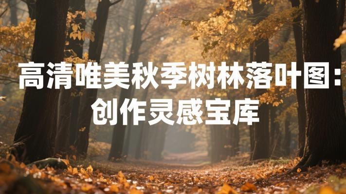 高清唯美秋季树林落叶图：创作灵感宝库