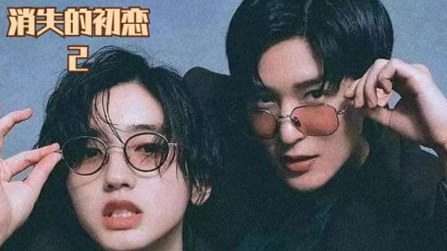 《忠犬帕尔玛》：机场守望者与少年的双向救赎之旅