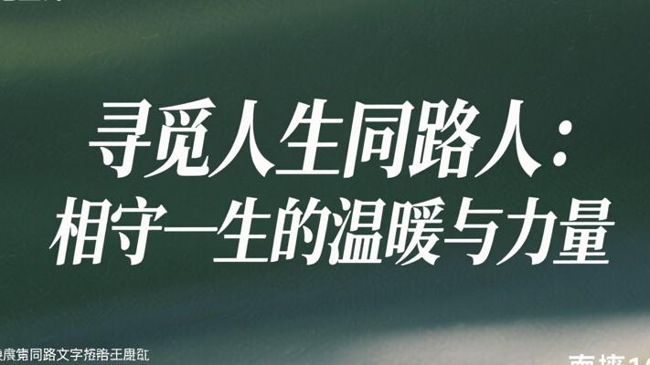 寻觅人生同路人：相守一生的温暖与力量