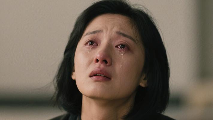 曾经不解愁滋味 如今懂时泪两行