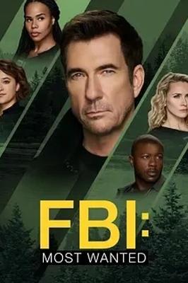 《联邦调查局：通缉要犯》第六季精彩罪案追踪解析