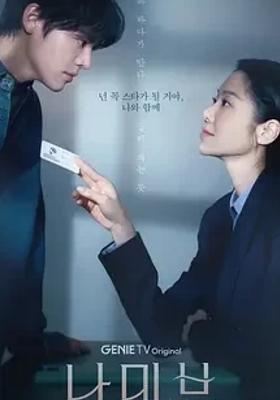 《纳米布》：跨越时空的治愈之旅与自我救赎