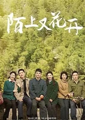 《陌上又花开》：山村修路历程中的奋斗与成长