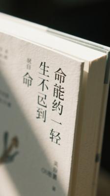 《生命中不能承受之轻》：探寻生命轻重与存在意义