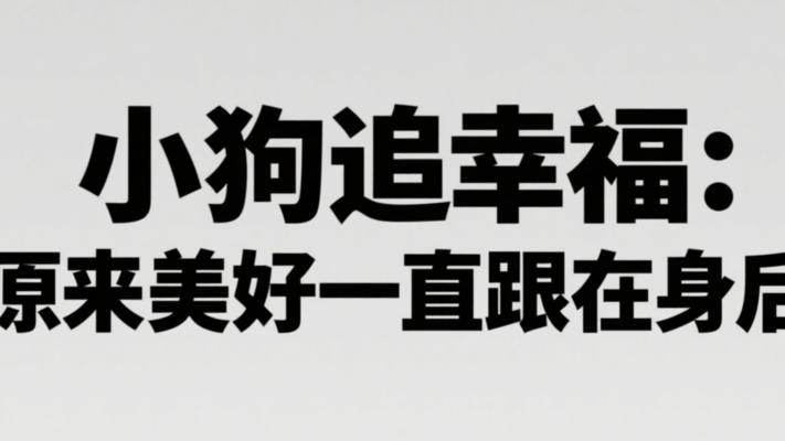 小狗追幸福：原来美好一直跟在身后