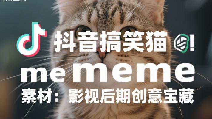 抖音搞笑猫meme素材：影视后期创意宝藏