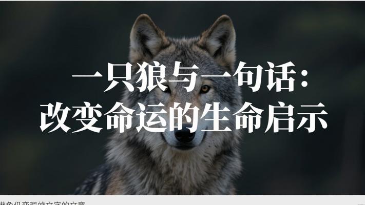 一只狼与一句话：改变命运的生命启示