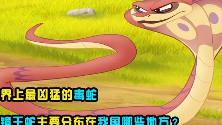 世界最长毒蛇眼镜王蛇在我国分布 遇见务必远离