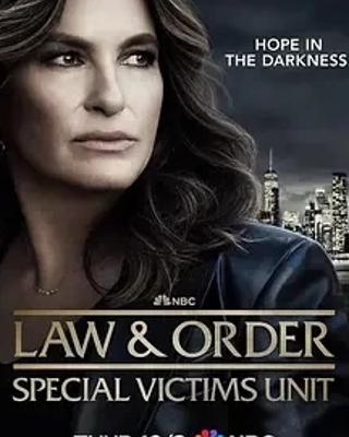 《法律与秩序：特殊受害者第二十六季》：聚焦罪案守护正义
