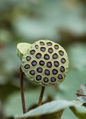 《二手相机》：被诅咒的未来影像与致命交易