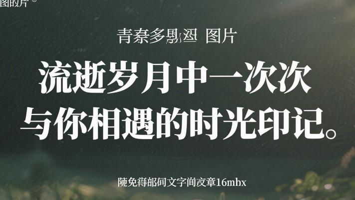 流逝岁月中一次次与你相遇的时光印记