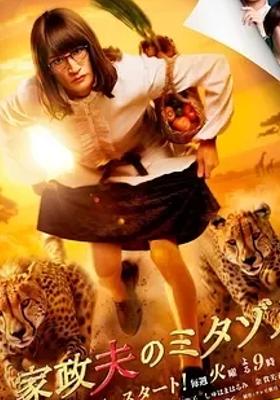 《家政夫三田园7》：温情与幽默交织的家庭故事