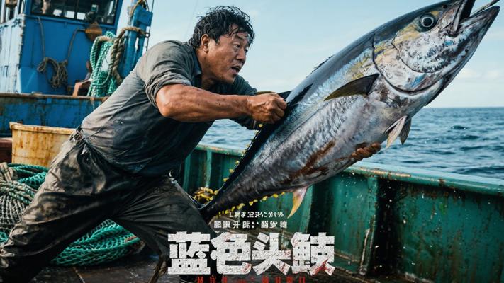 捕鱼生死斗：蓝鳍金枪鱼捕捞背后的天价真相