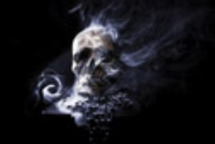 阴灵妹妹的复仇：连体婴幸存者的噩梦轮回