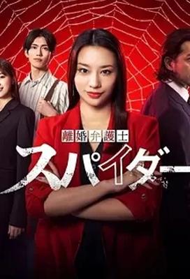 《离婚律师蜘蛛抚恤金争夺篇》：女性权益的热血捍卫