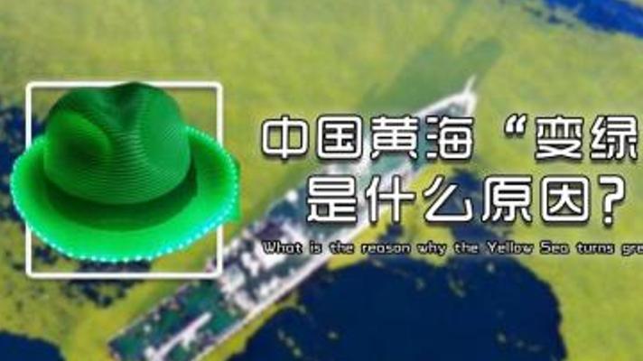 美国卫星惊现黄海“变绿”！浒苔泛滥危机重重