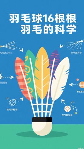 羽毛球为何规定16根羽毛背后的科学