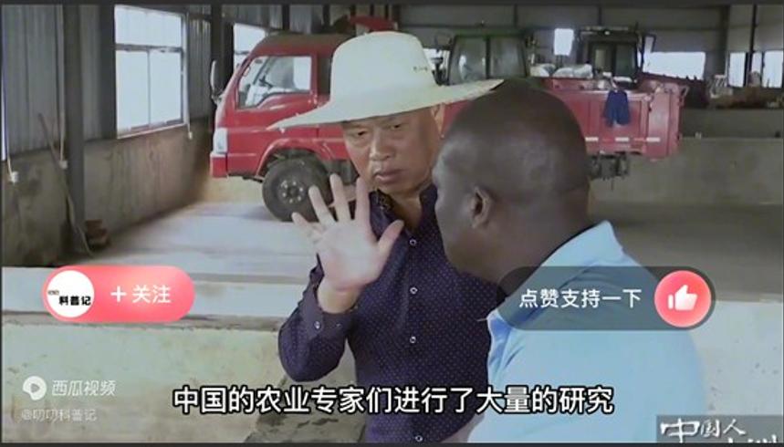 中国将非洲贫瘠土地变万亩良田外媒惊叹缘由
