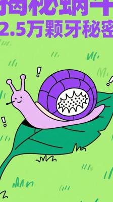 揭秘！小小蜗牛竟藏着2.5万颗牙齿的惊人秘密