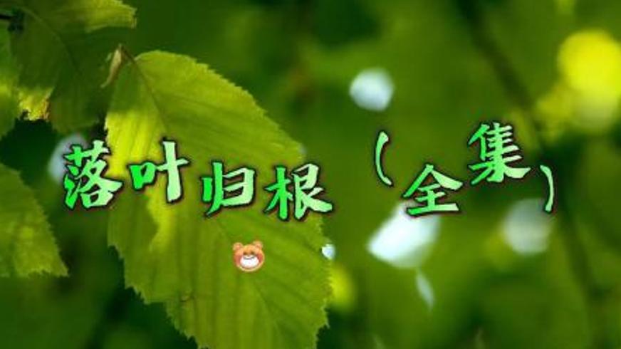 《落叶归根》：跨越千里的生命归途与人性温度