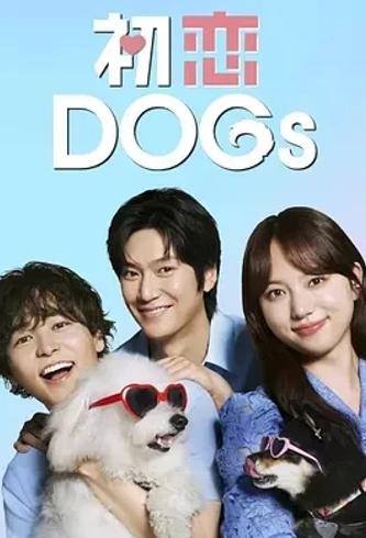 《初恋DOGs》：奏响别样青春恋曲的精彩日剧