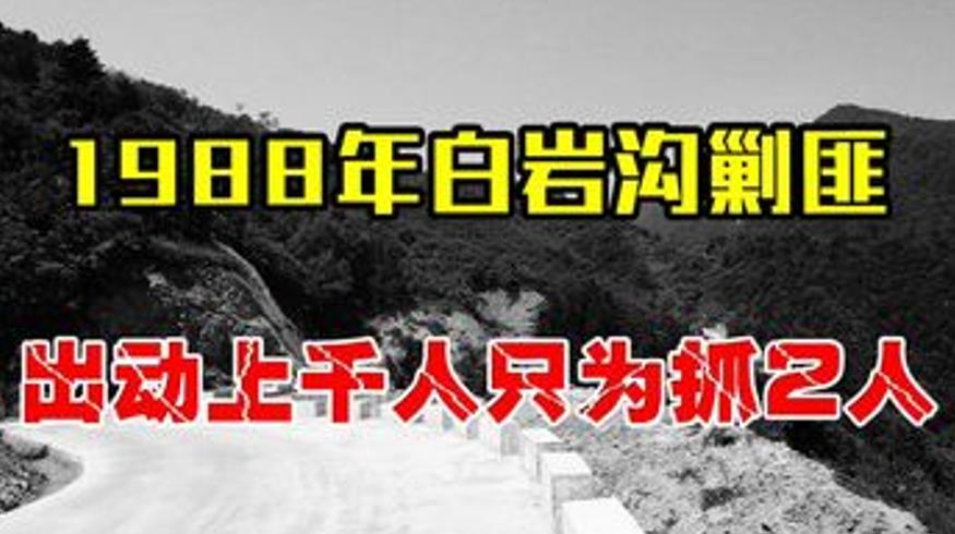 1988年白岩沟剿匪1516名军警围捕两匪徒
