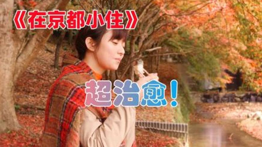 《在京都小住》：于慢时光里拾获生活真谛的治愈之旅