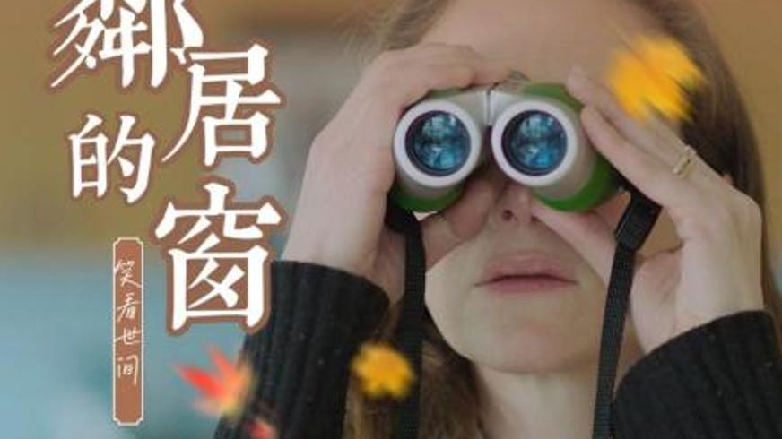 《邻居的窗》：透过窗户窥见的生活镜像与幸福真谛