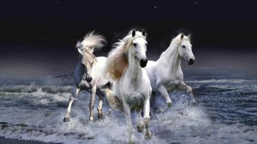 《以梦为马》：在生活泥沼中追逐熠熠星光