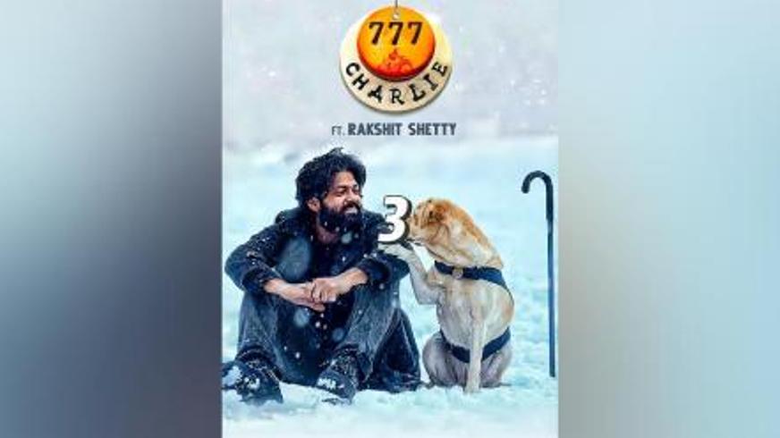 《777查理》：流浪狗与孤独焊工的相互救赎之旅