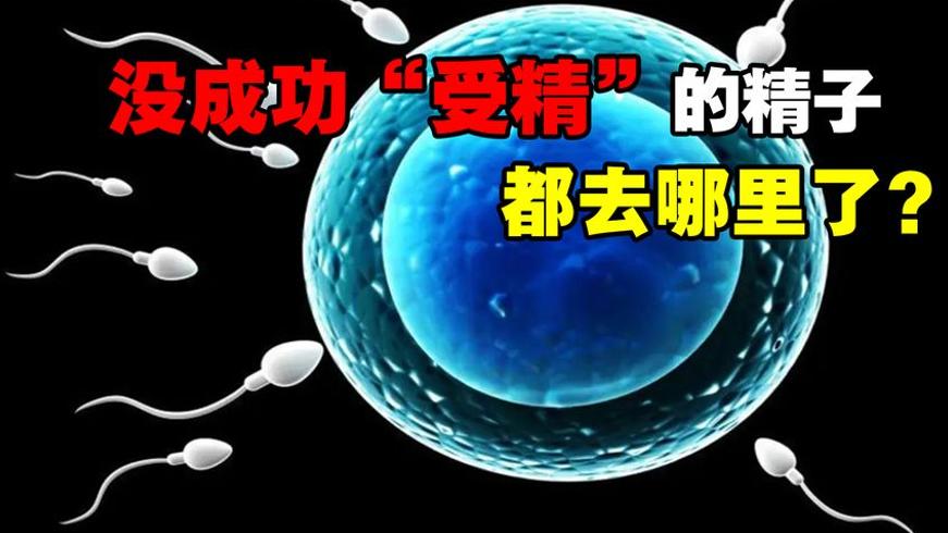 精子的奇幻冒险：八千万大军中唯一胜者的诞生