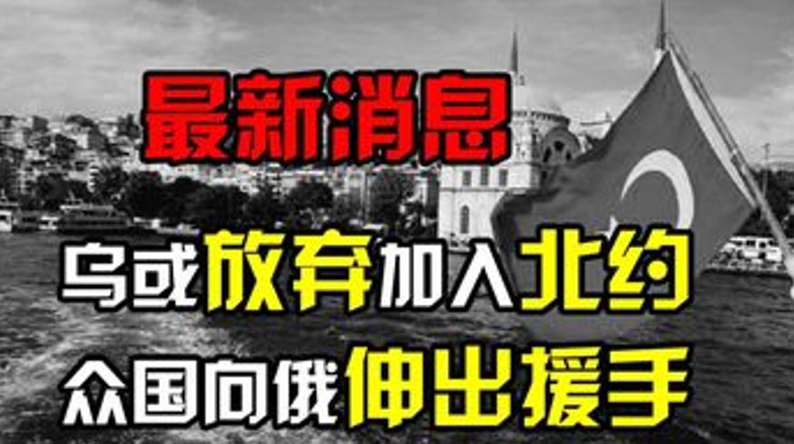 乌克兰或放弃加入北约 印度土耳其援俄令美国失望