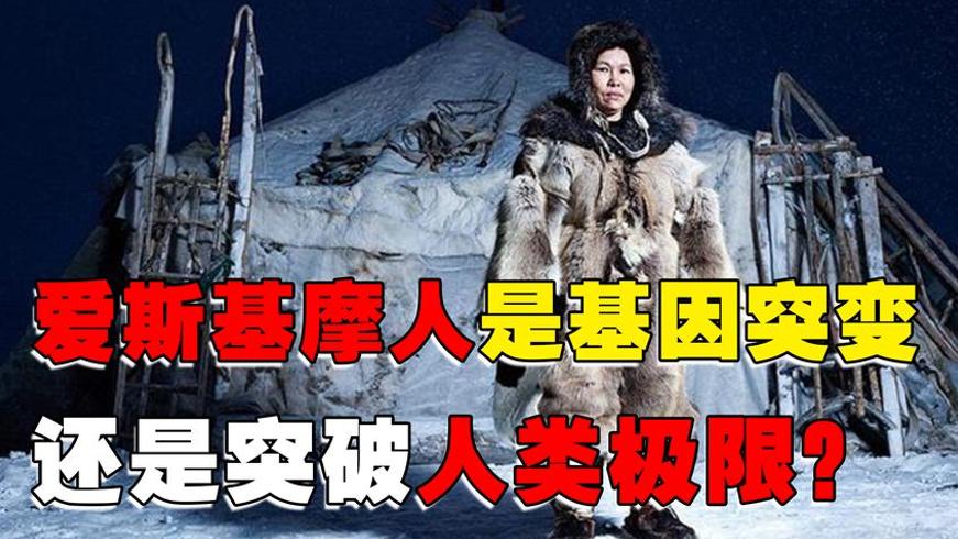 爱斯基摩人为何能终生吃生肉 基因秘密还是生存智慧