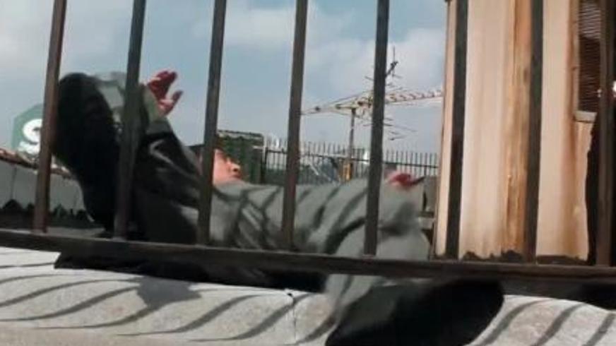 《致命武器》：复仇与阴谋交织的暴力美学困境