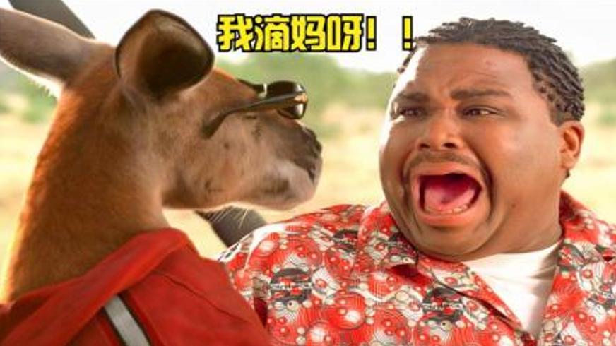 《抢钱袋鼠》：一场由袋鼠引发的爆笑冒险之旅