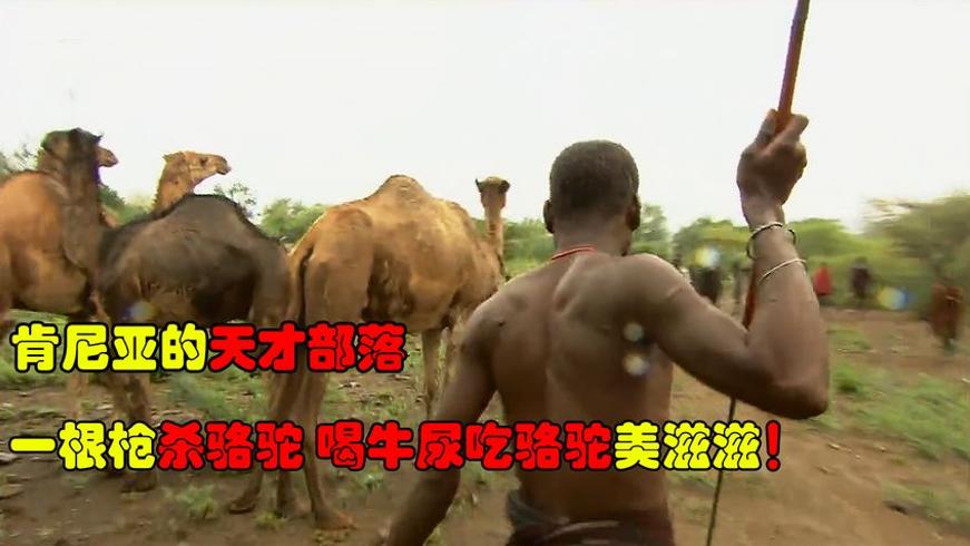 非洲波科特族的独特传统与成人礼故事